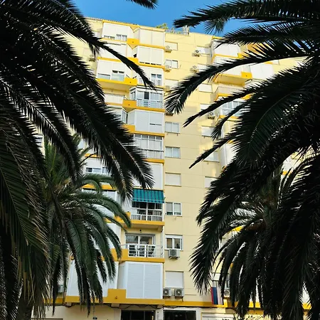 Palmeras En El Mar